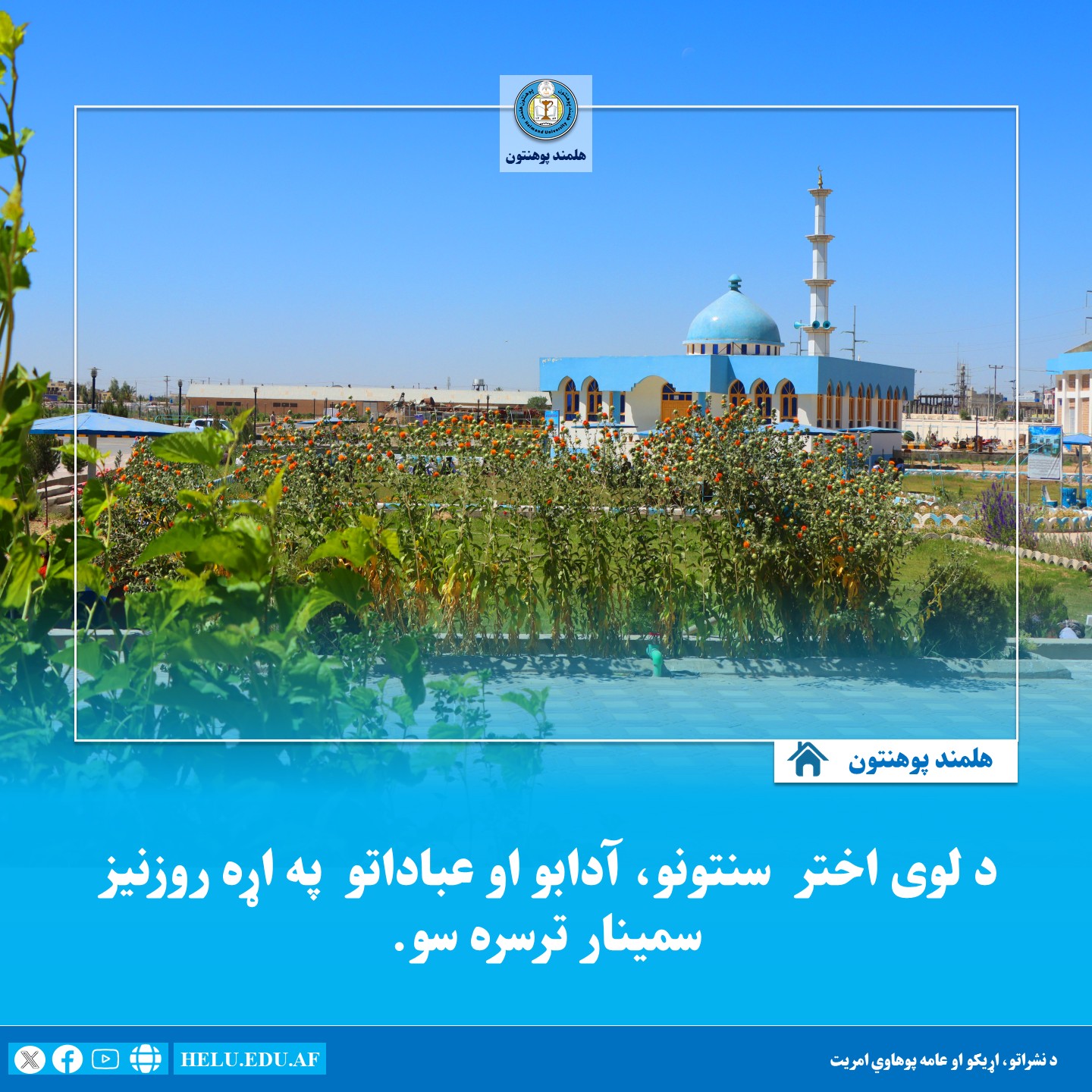 سمینار