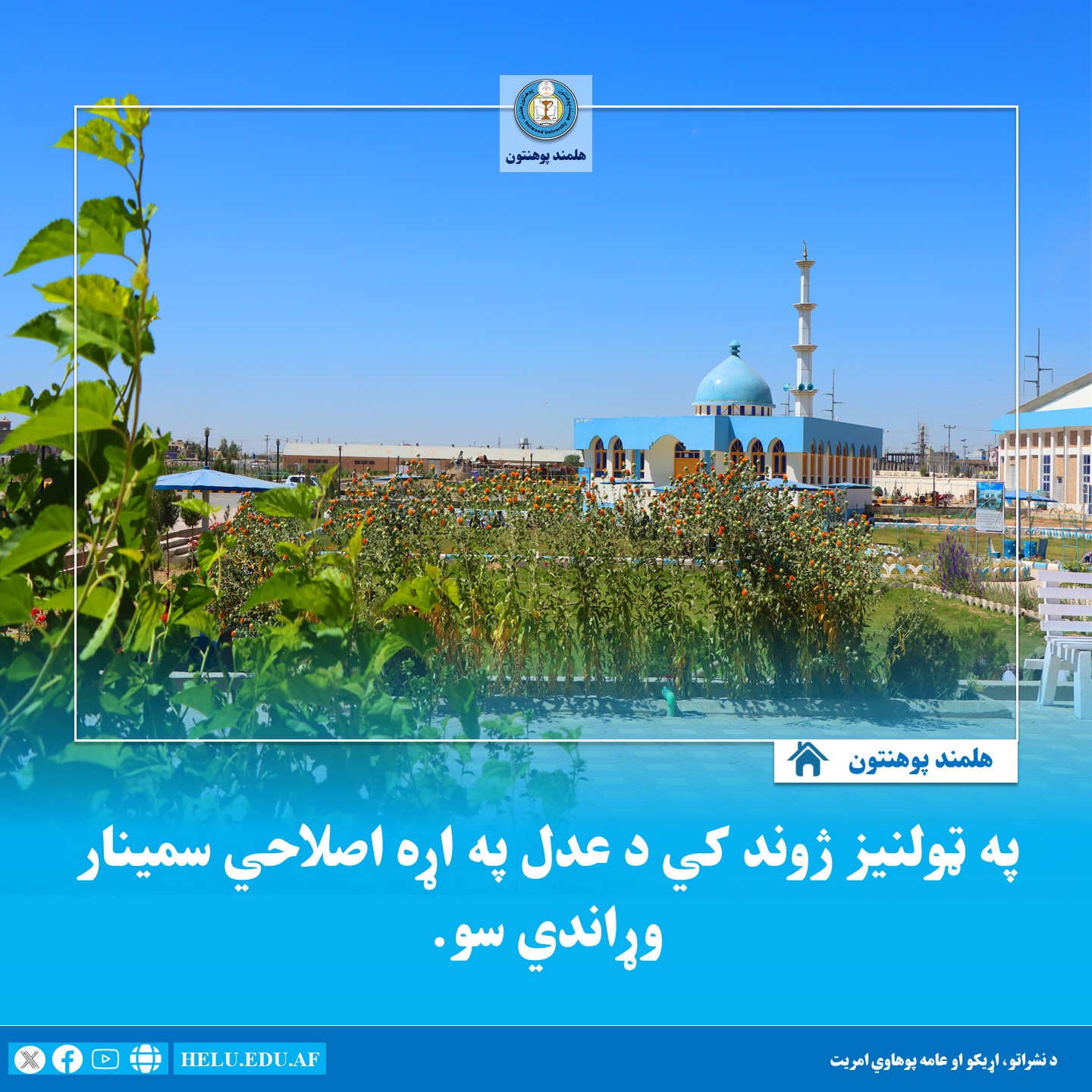 سمینار