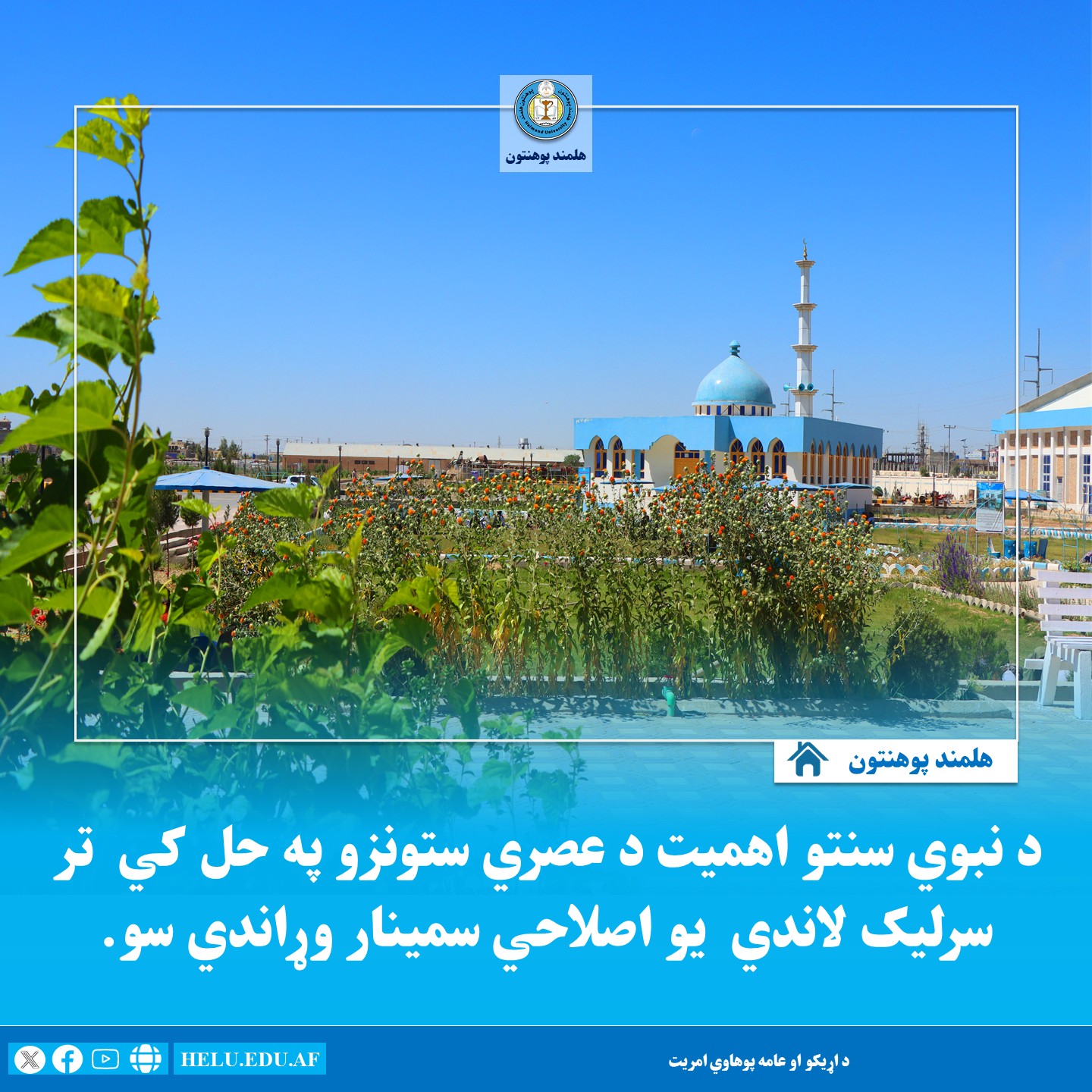 د سنتو اتباع