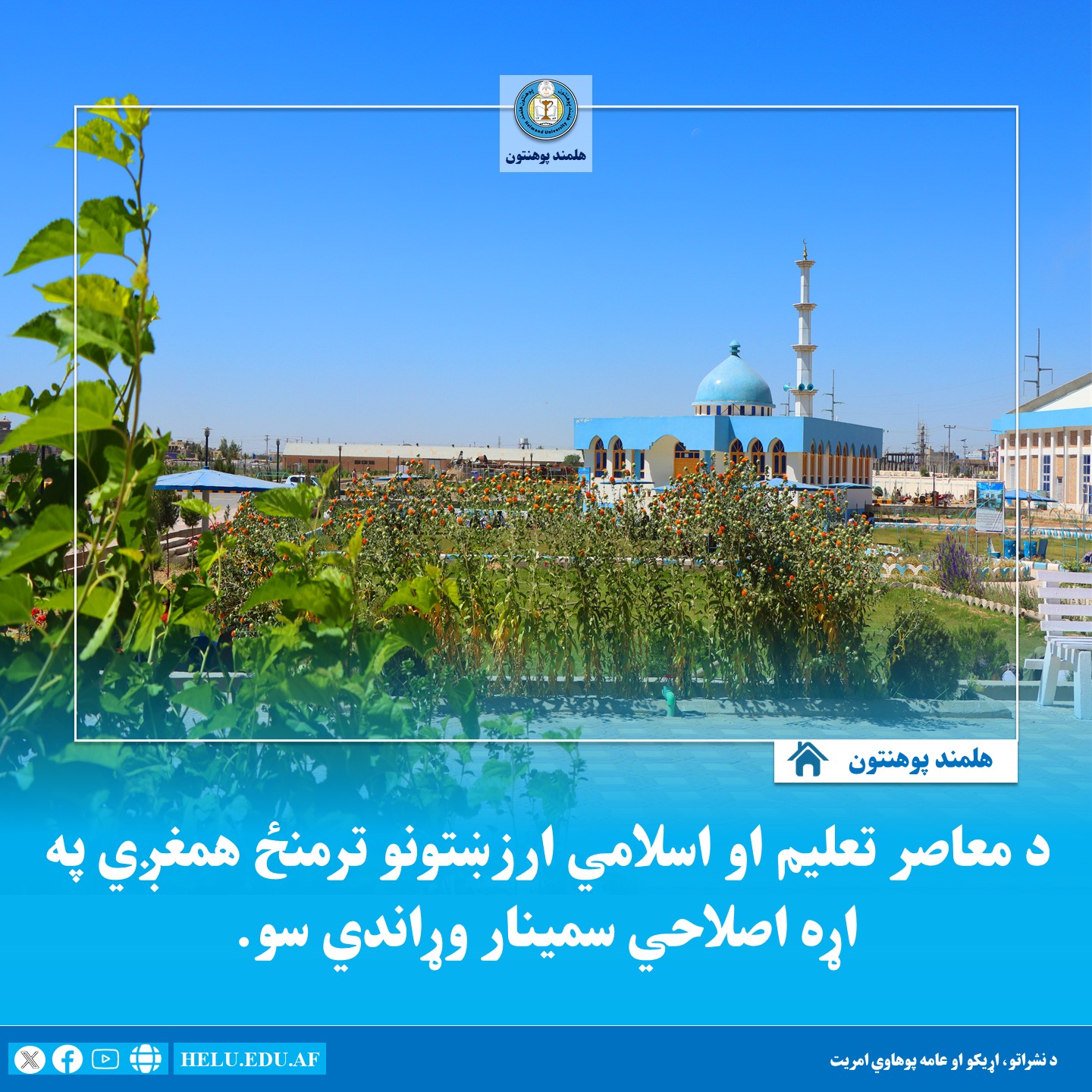 معاصر تعلیم