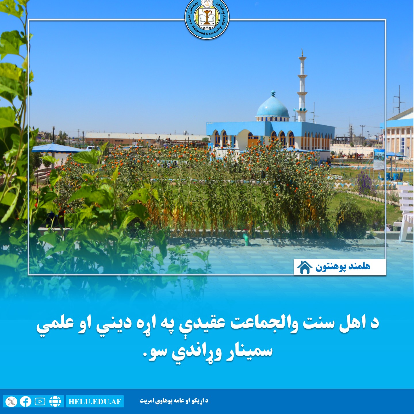 سمینار